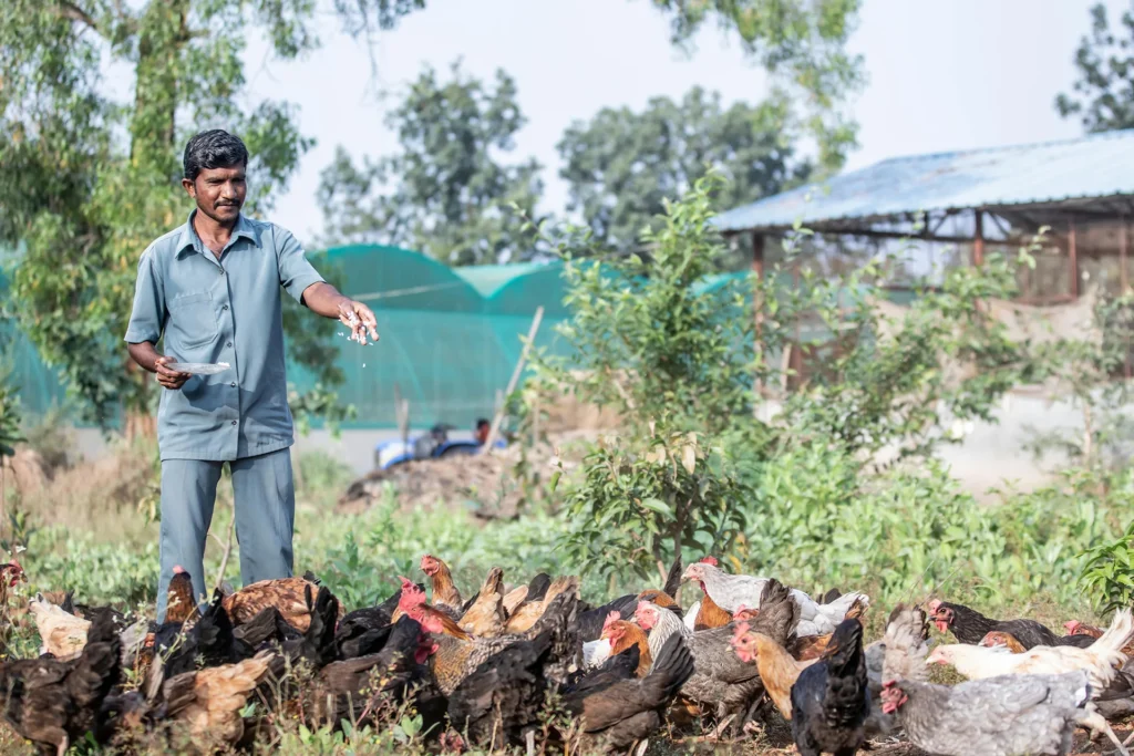 asian-farmers-happiness-holding-fresh-organic-vegetable-in-hydroponic-smart-farm-produce-and-carry-e1698030345212-1